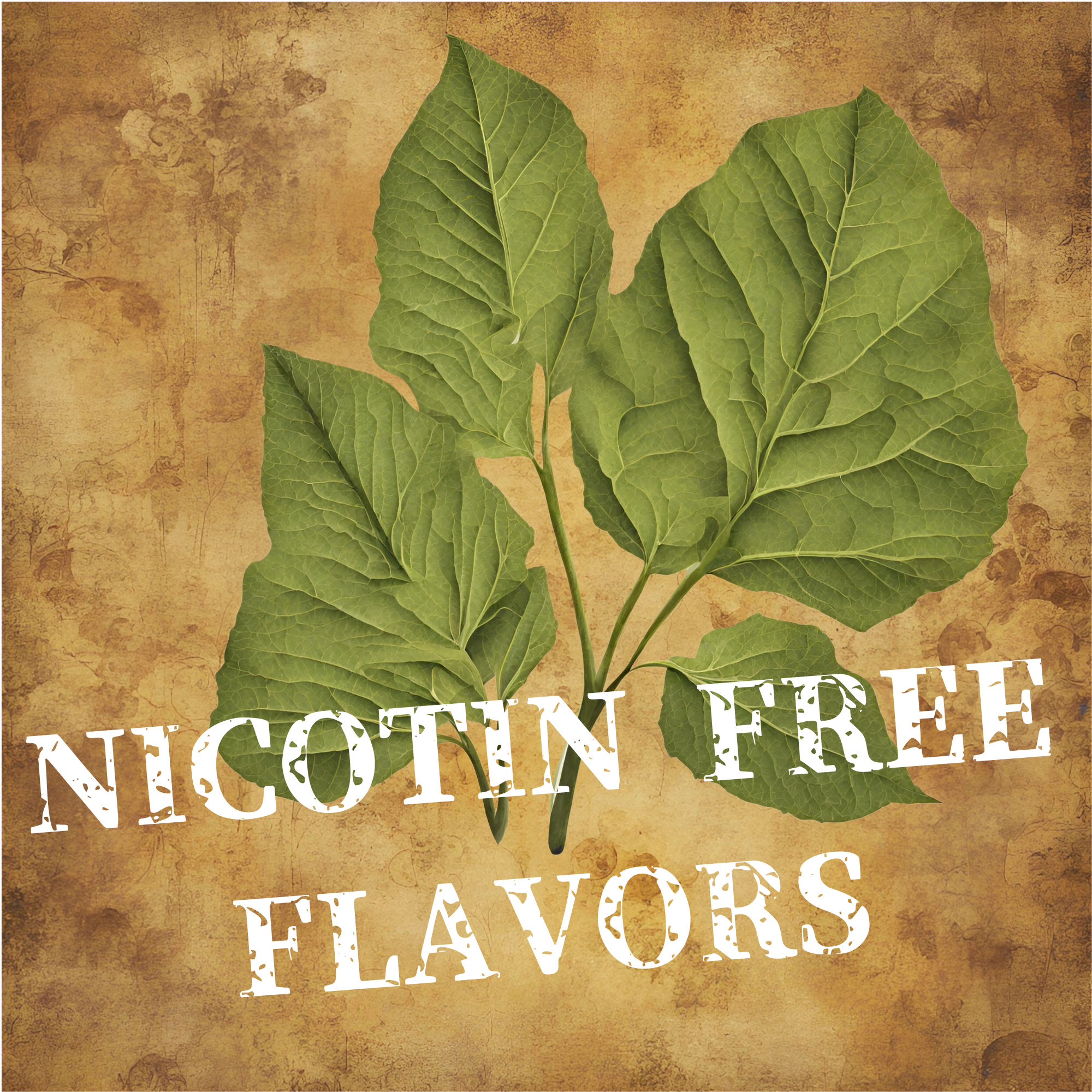 NicotinFree Flavors ニコチンフリーフレーバー